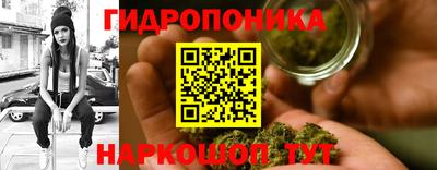 дмт Краснодар