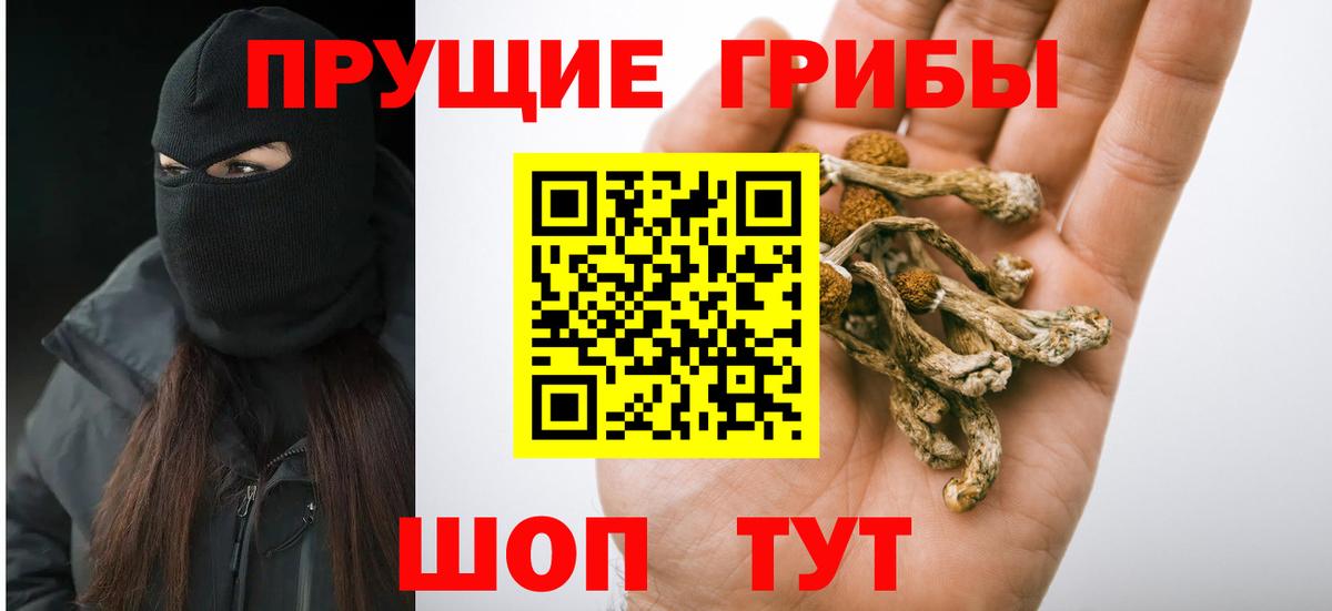 купить закладку  Псилоцибиновые грибы мухоморы  Уфа  Вход с VPN  Галлюциногенные грибы GOLDEN TEACHER 